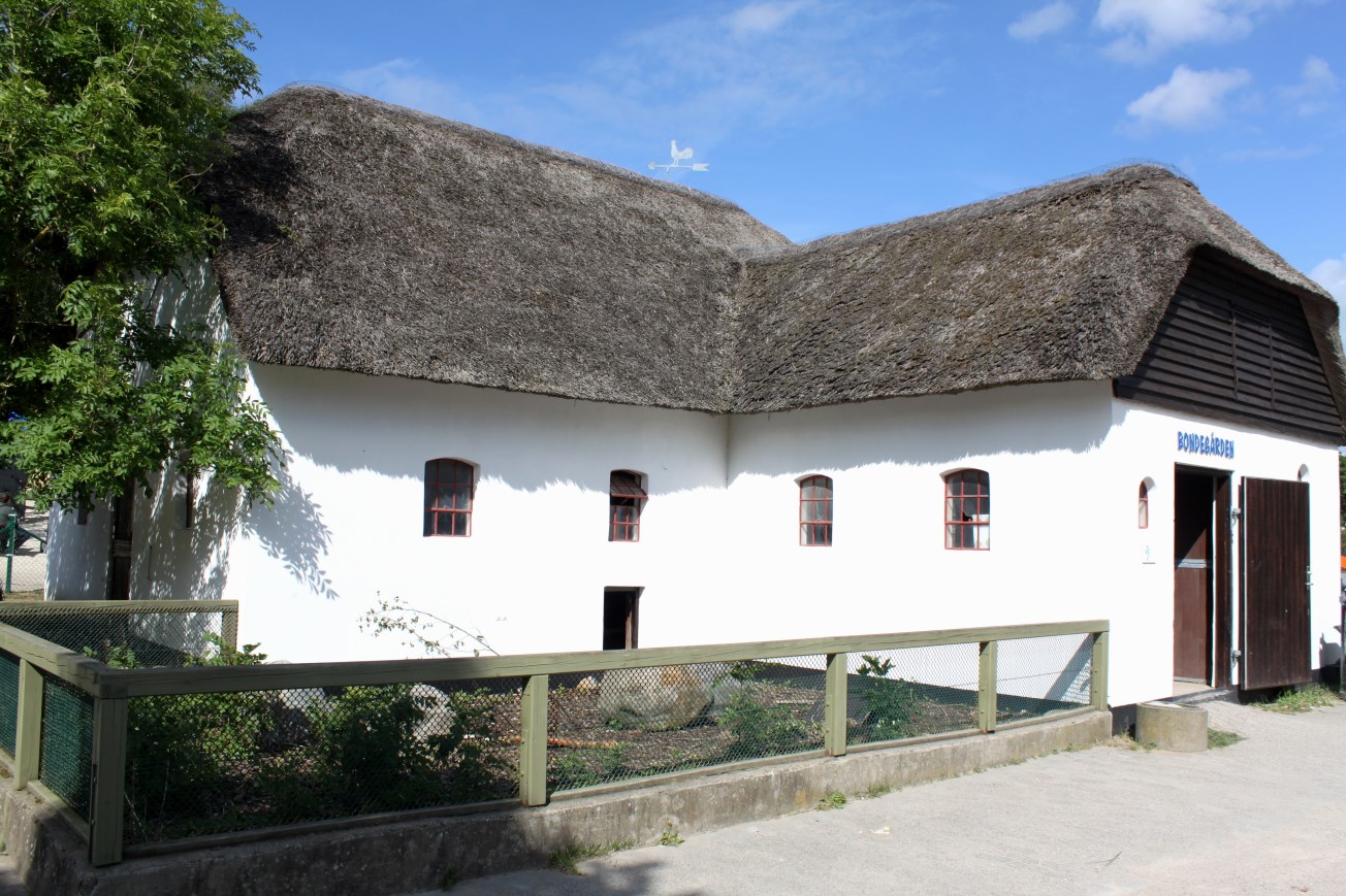 Givskud Zoo - Petting Zoo (Farm)