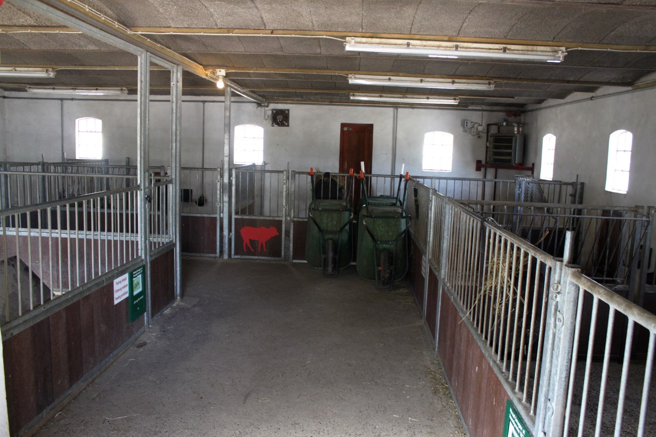 Givskud Zoo - Petting Zoo (Farm)