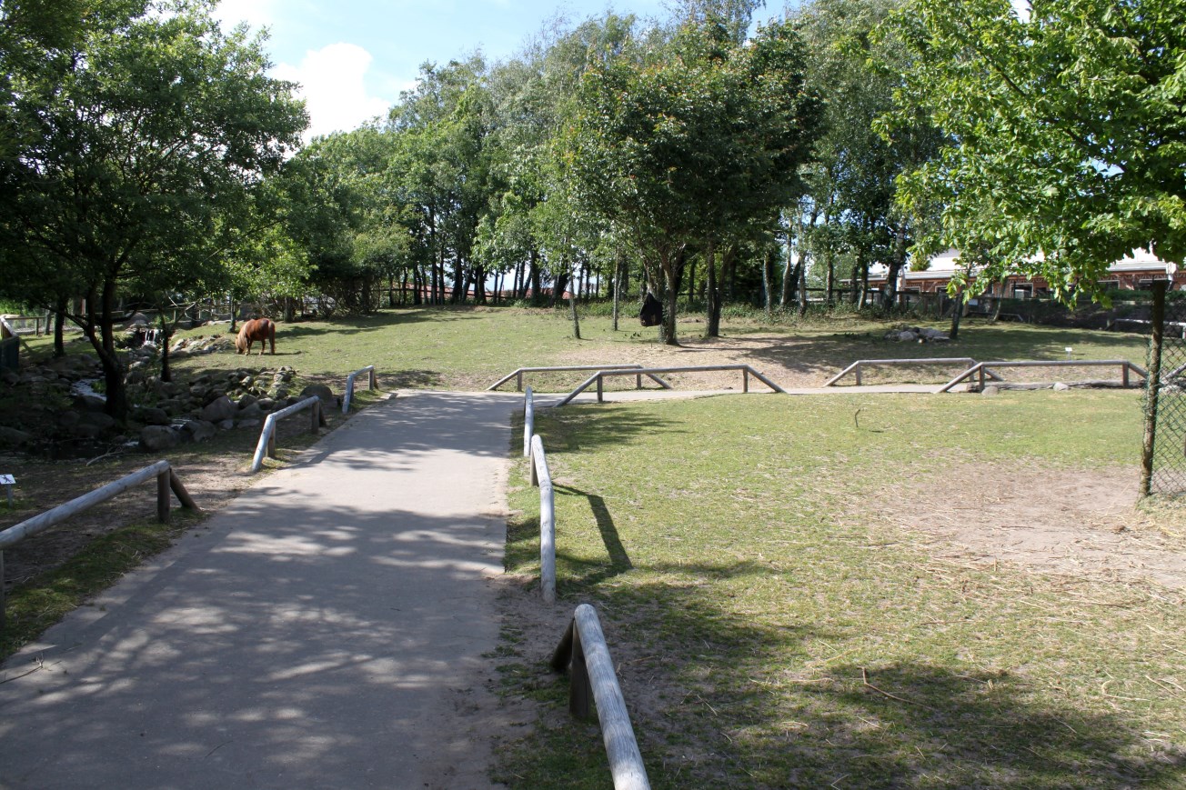 Givskud Zoo - Petting Zoo (Walkthrough)