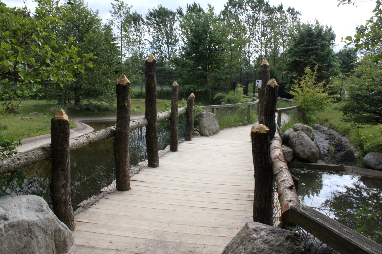 Givskud Zoo - Pygmy hippo exhibit