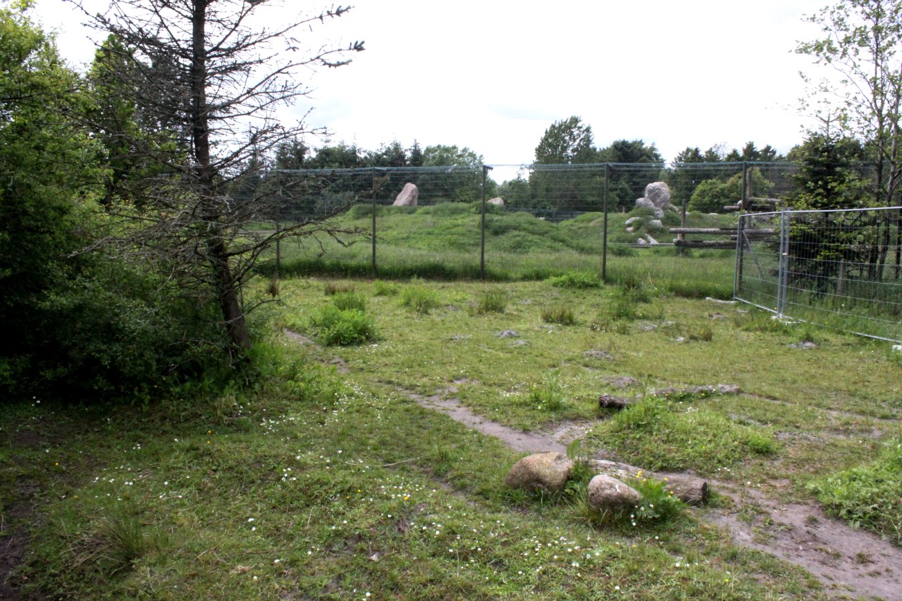 Givskud Zoo - Pygmy hippo exhibit