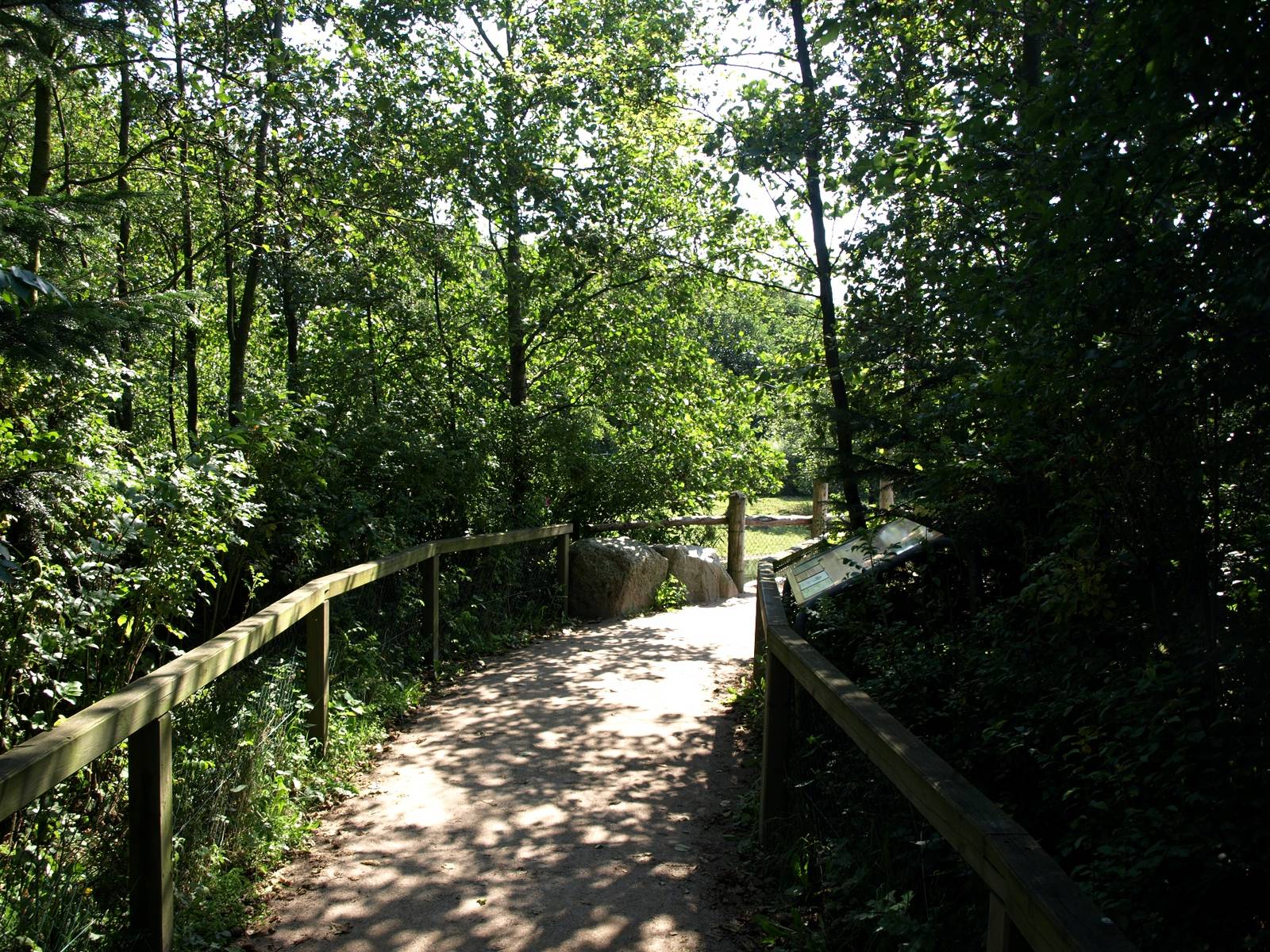 Givskud Zoo - Pygmy hippo exhibit