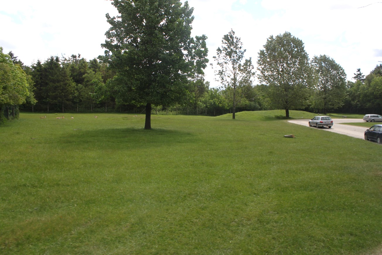 Givskud Zoo - Safari (Africa #1)