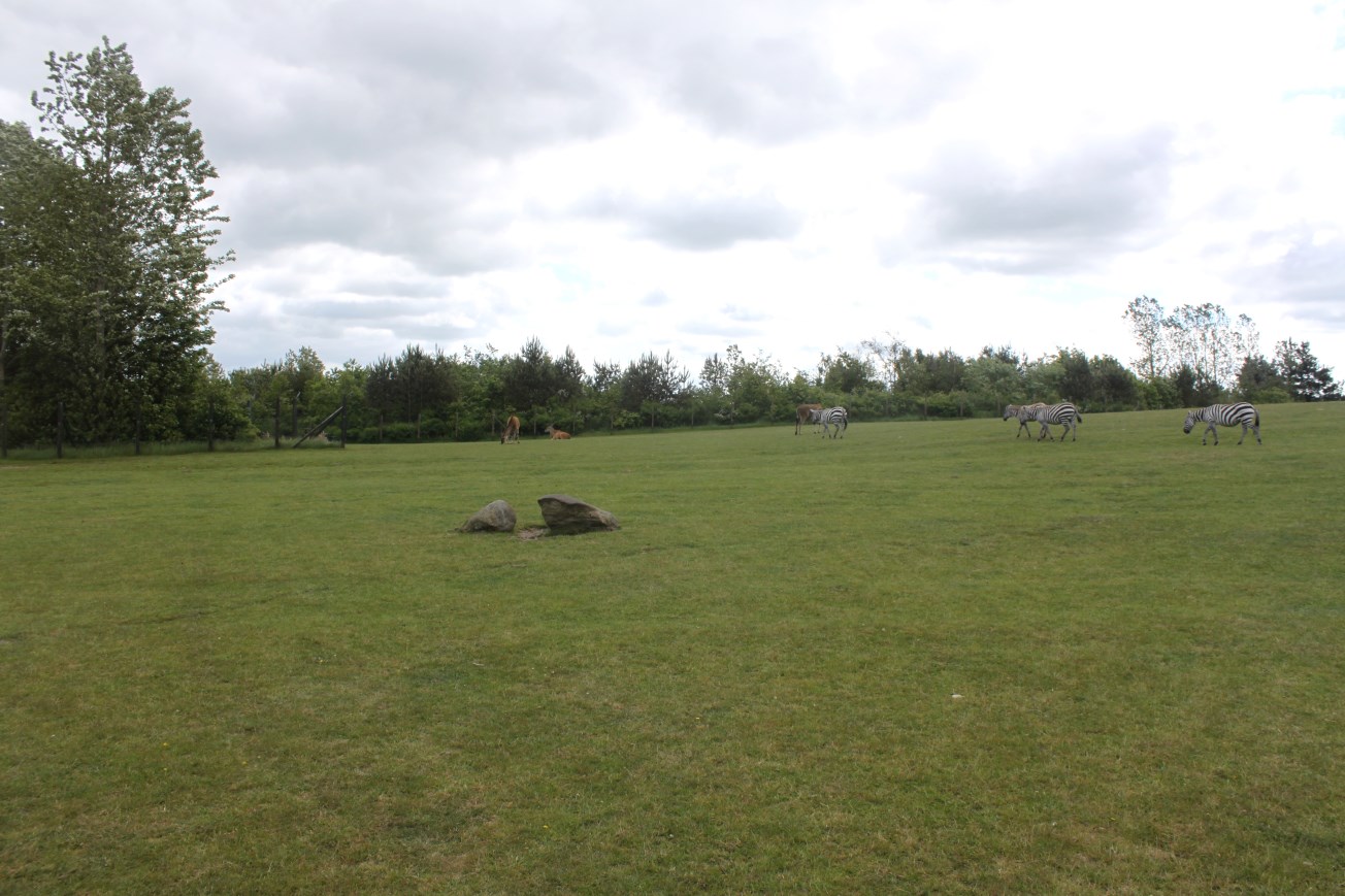 Givskud Zoo - Safari (Africa #2)