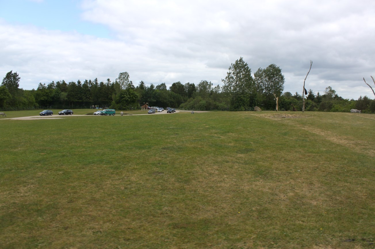 Givskud Zoo - Safari (Africa #2)