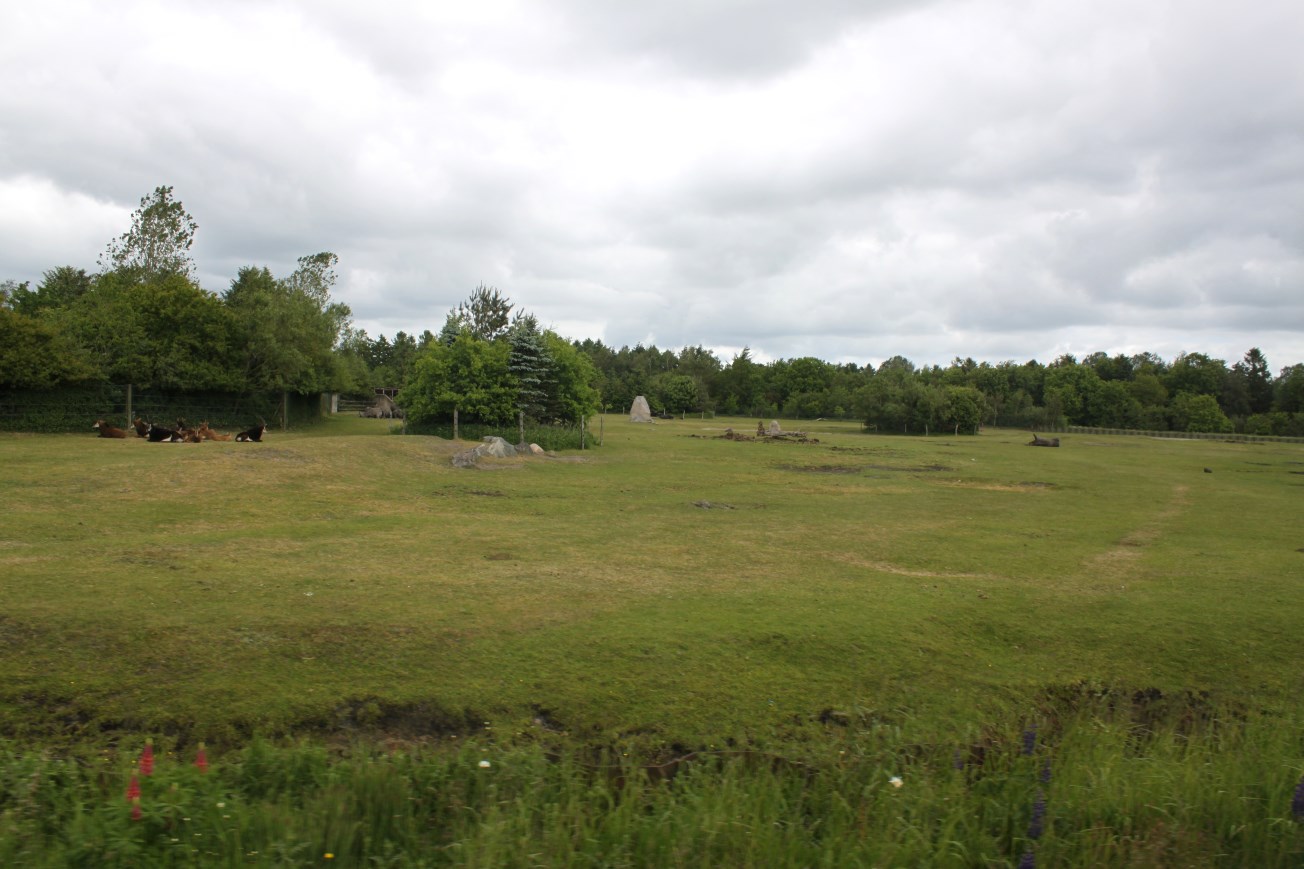 Givskud Zoo - Safari (Africa #3)