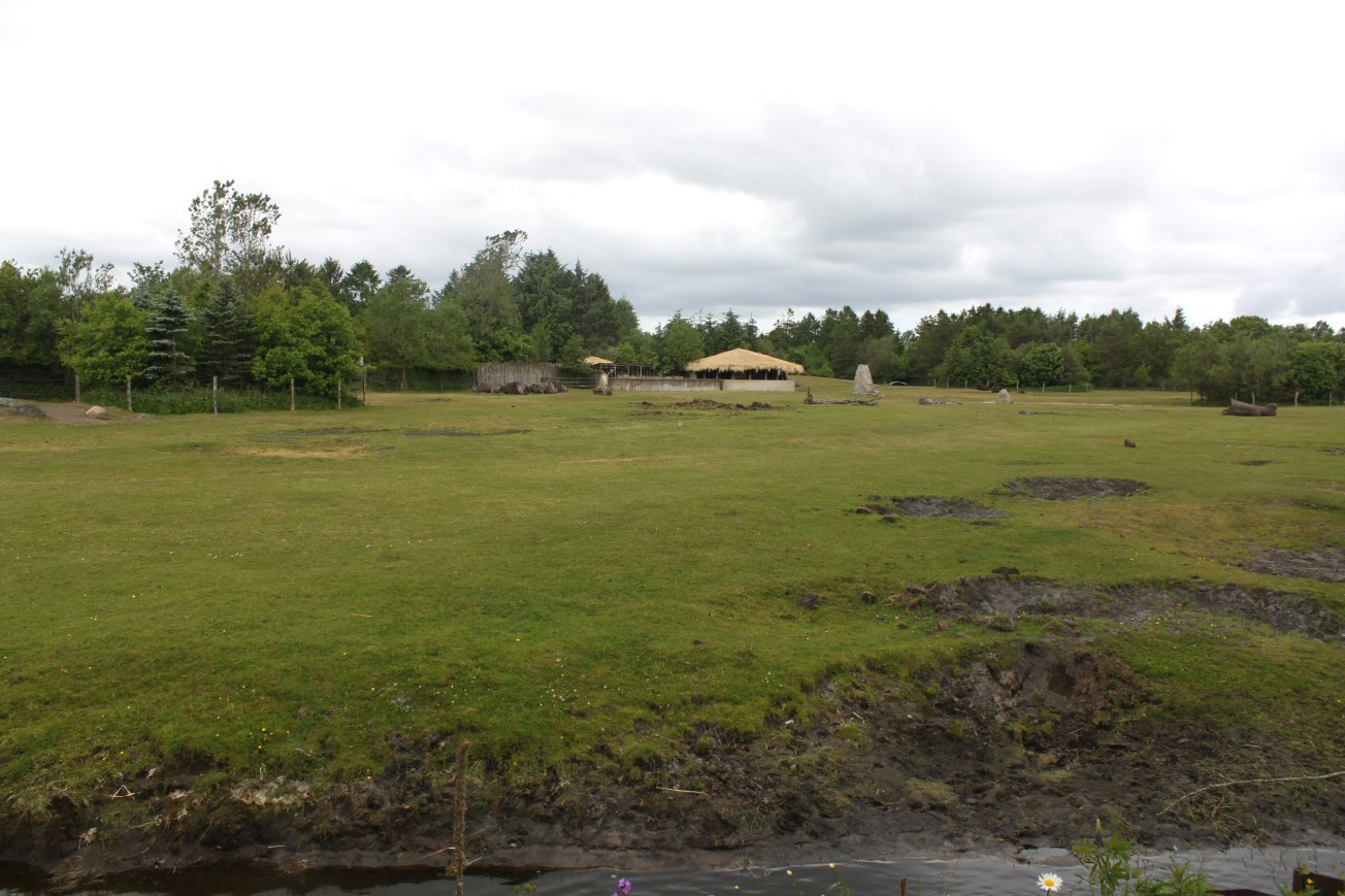 Givskud Zoo - Safari (Africa #3)