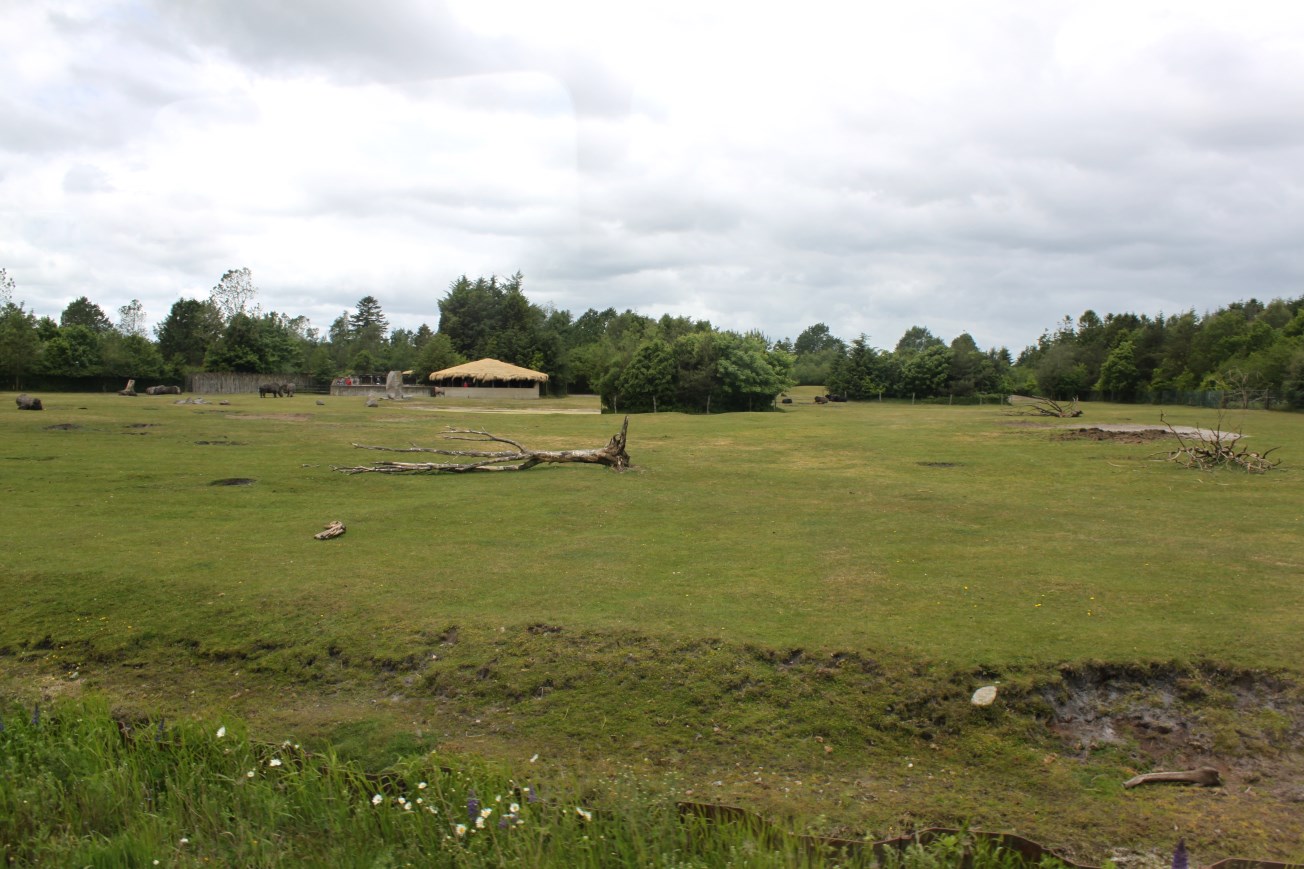 Givskud Zoo - Safari (Africa #3)