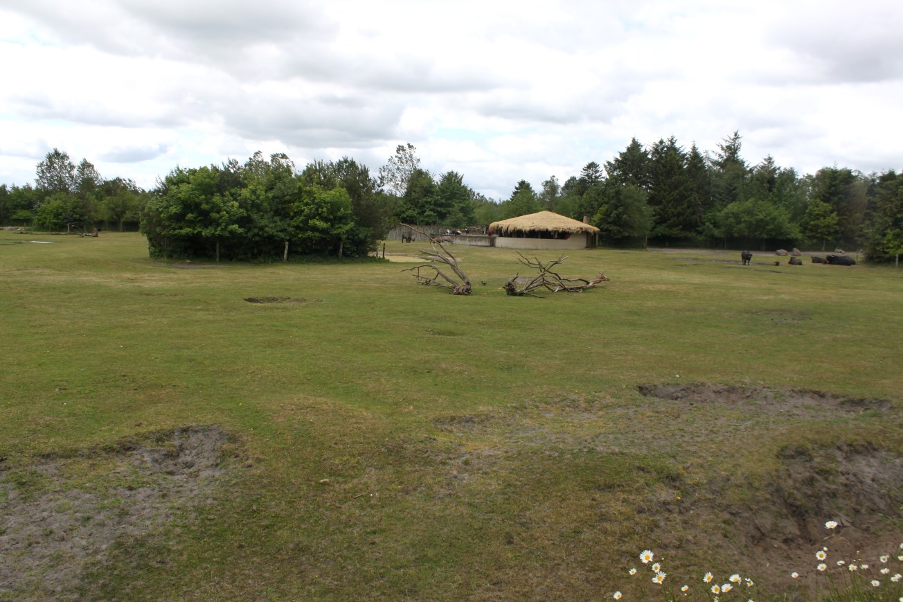 Givskud Zoo - Safari (Africa #3)