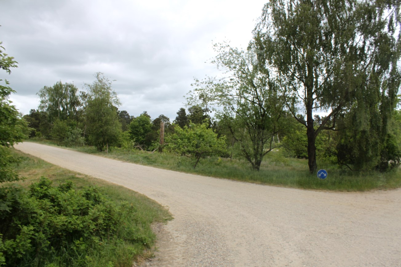 Givskud Zoo - Safari (Lion)