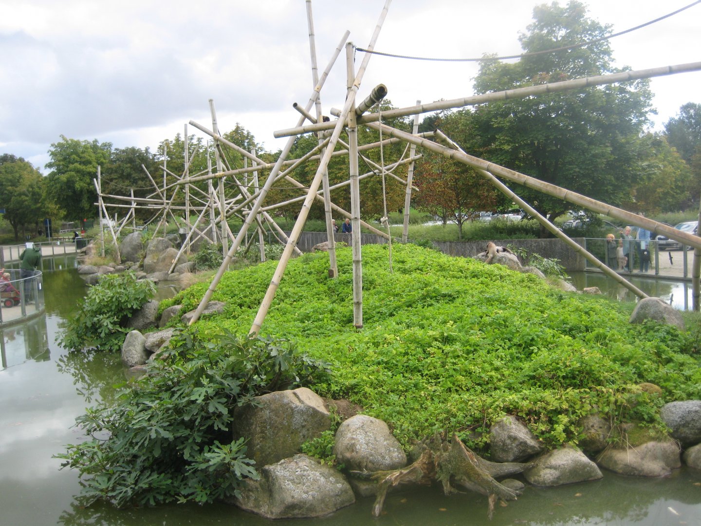 Givskud Zoo - Spider monkey exhibit