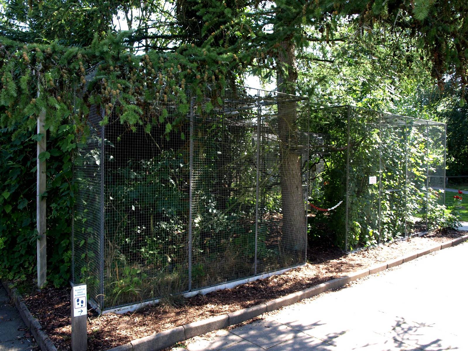 Givskud Zoo - Tamarin exhibit