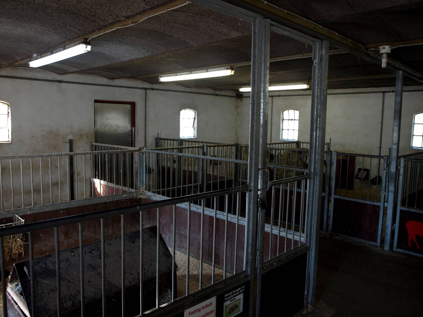 Givskud Zoo - The Farm