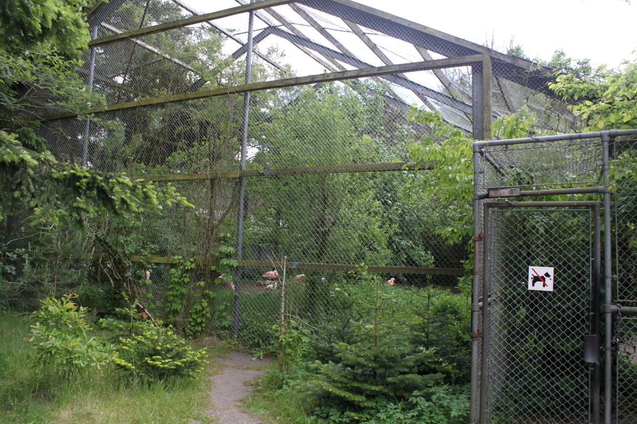 Givskud Zoo - Wetlands Aviary