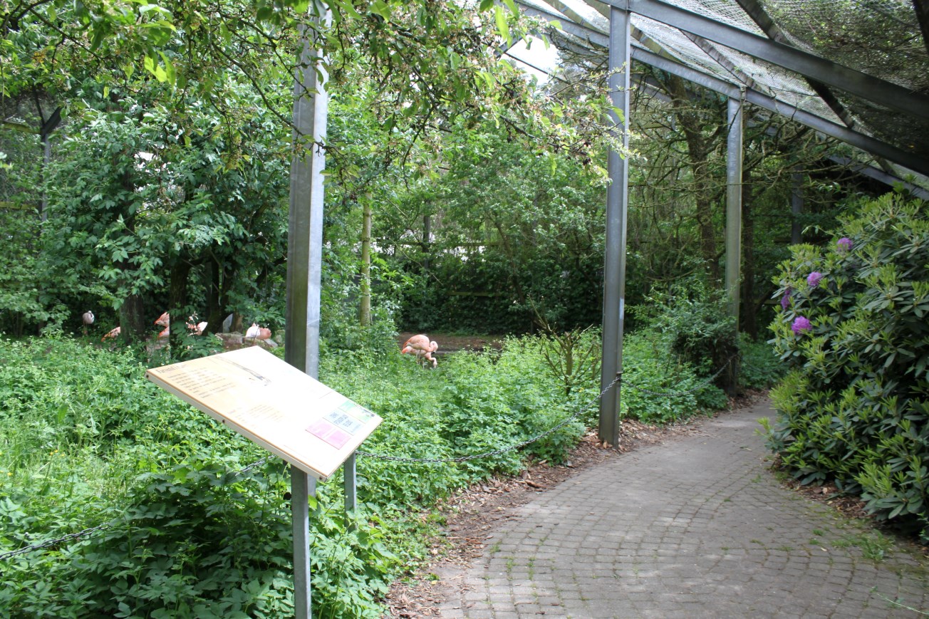 Givskud Zoo - Wetlands Aviary