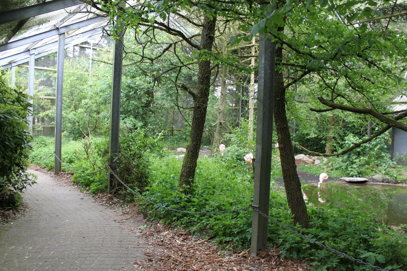 Givskud Zoo - Wetlands Aviary