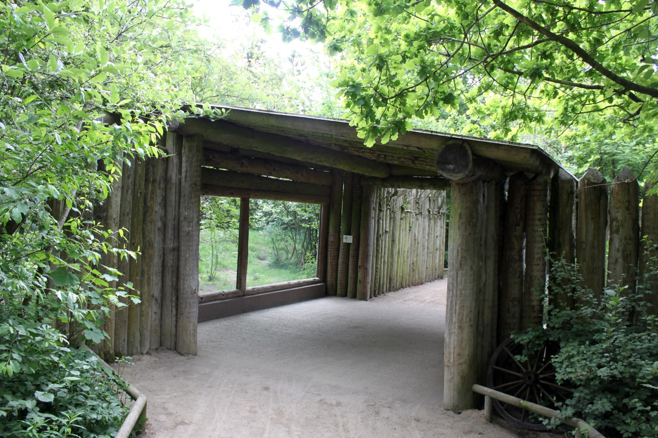 Givskud Zoo - Wolf Woods