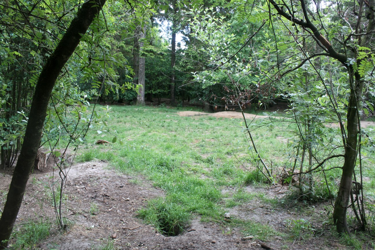 Givskud Zoo - Wolf Woods