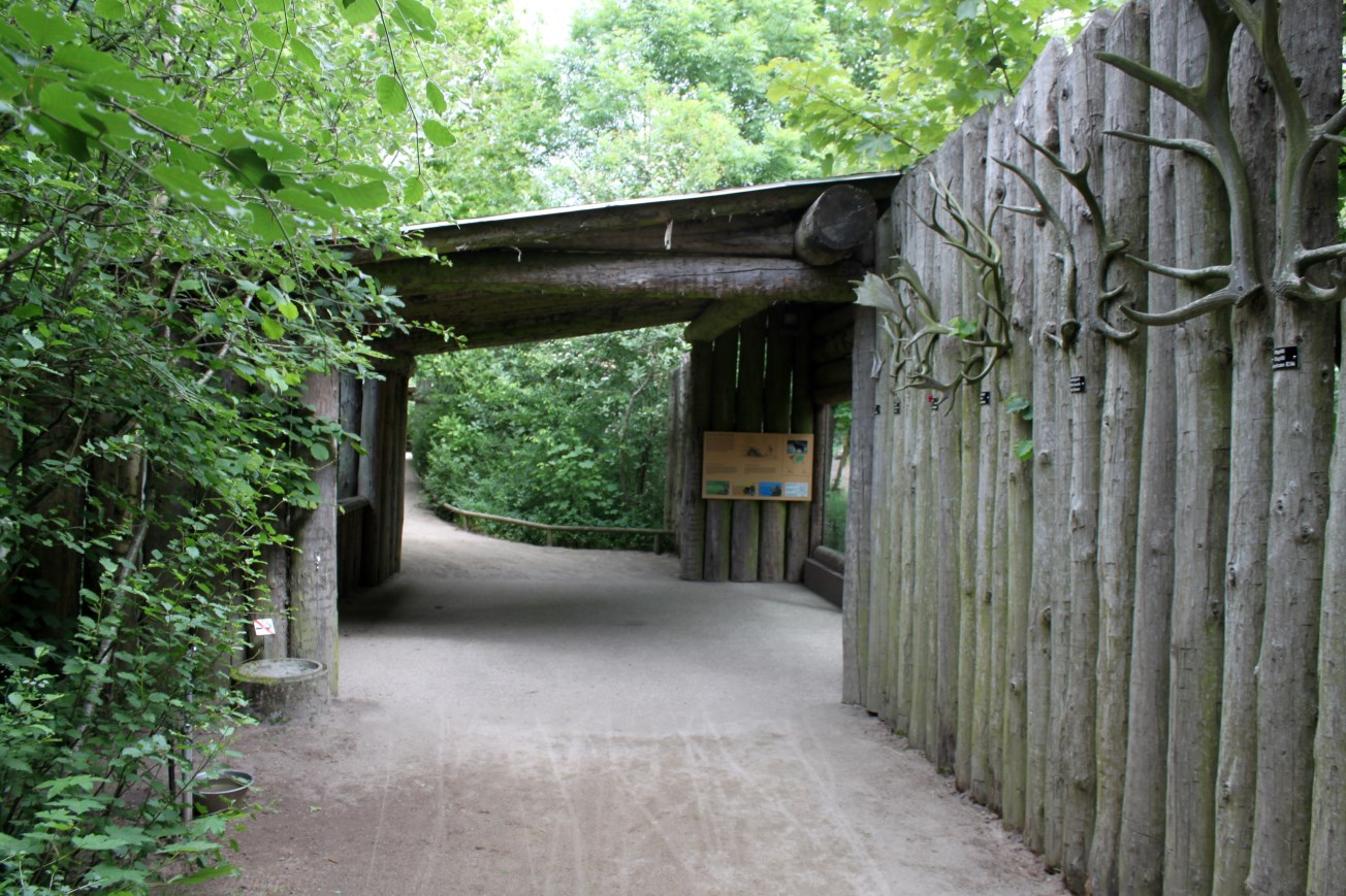 Givskud Zoo - Wolf Woods