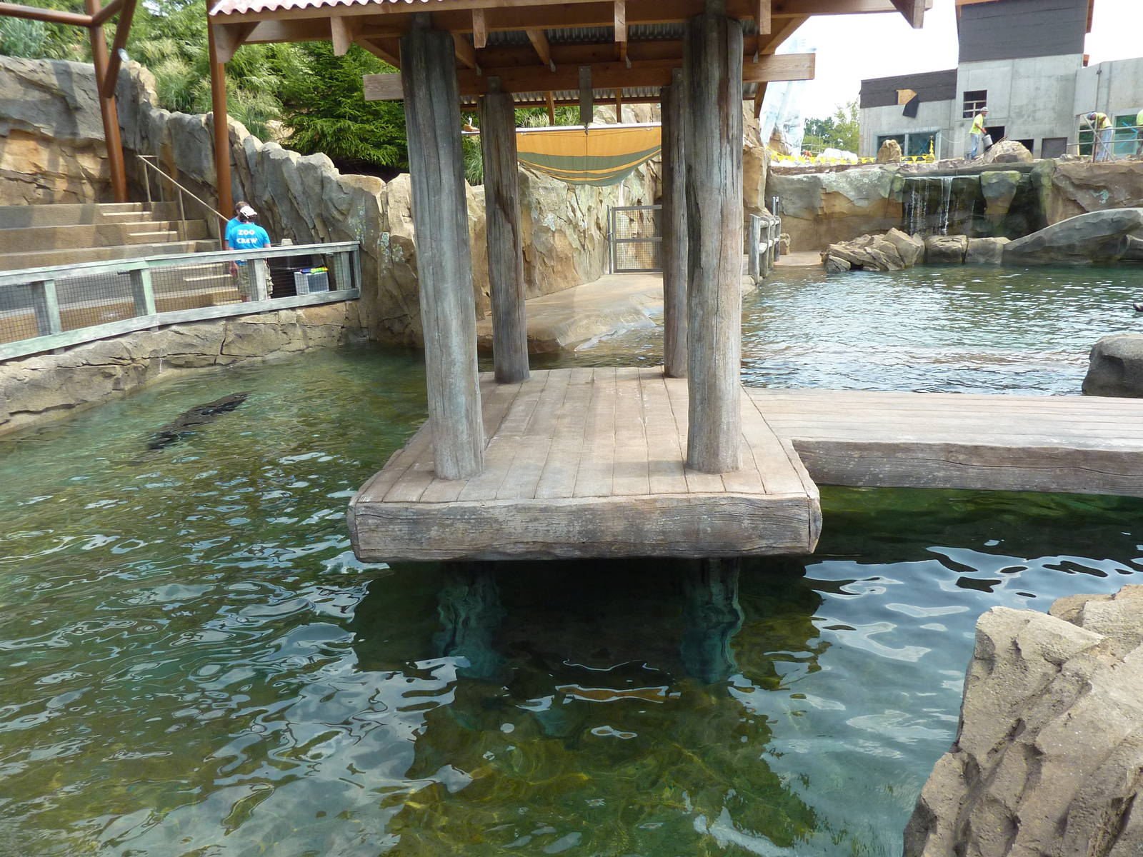 Glacier Run - California Sea Lion/Harbour Seal/Grey Seal Exhibit