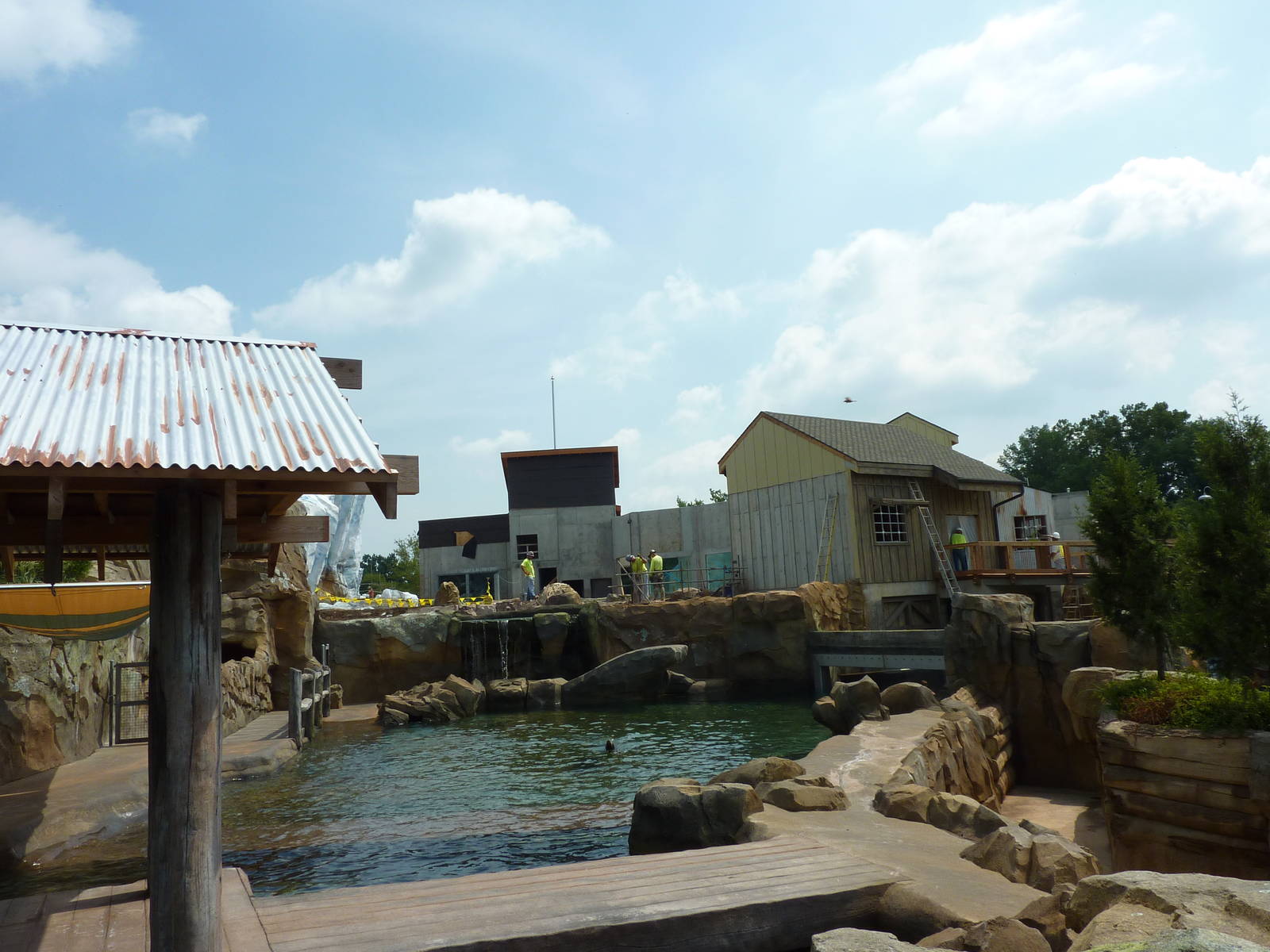 Glacier Run - California Sea Lion/Harbour Seal/Grey Seal Exhibit