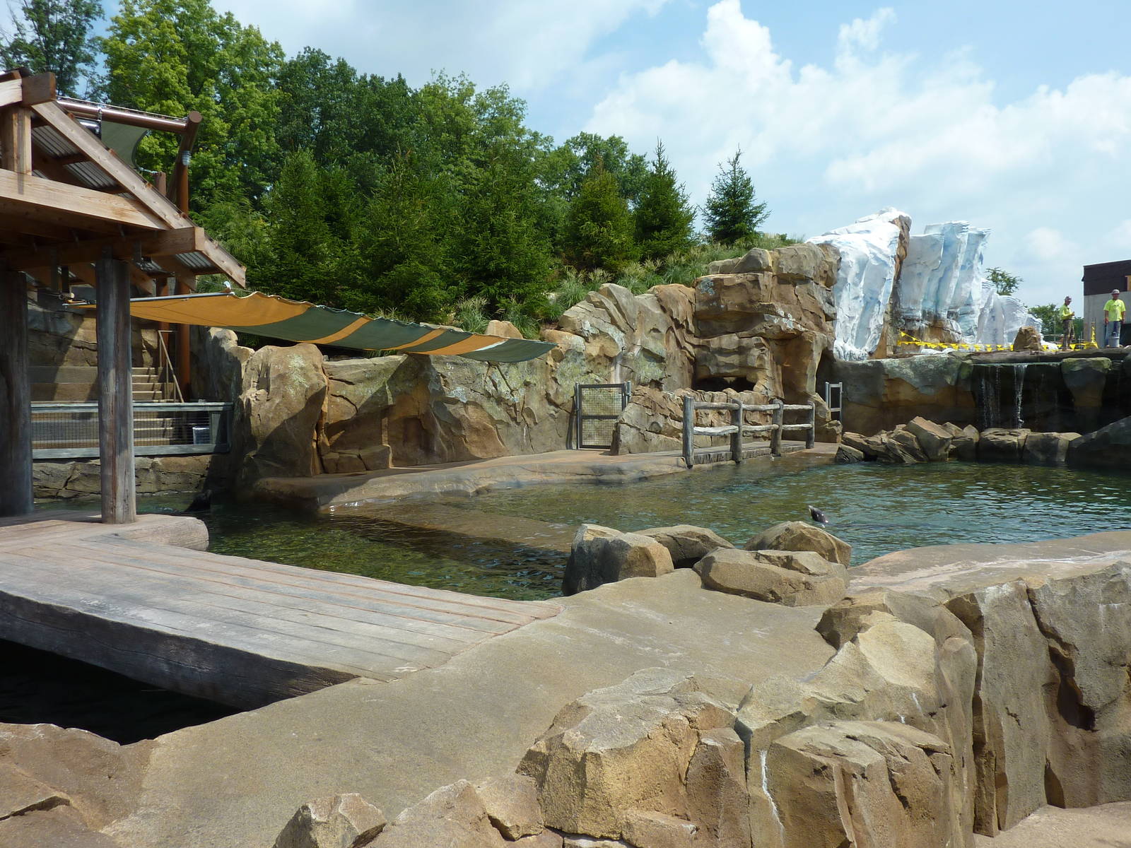 Glacier Run - California Sea Lion/Harbour Seal/Grey Seal Exhibit