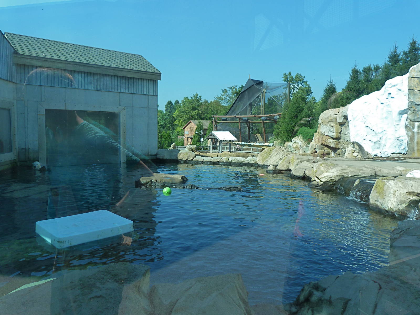 Glacier Run, Sept. 2014