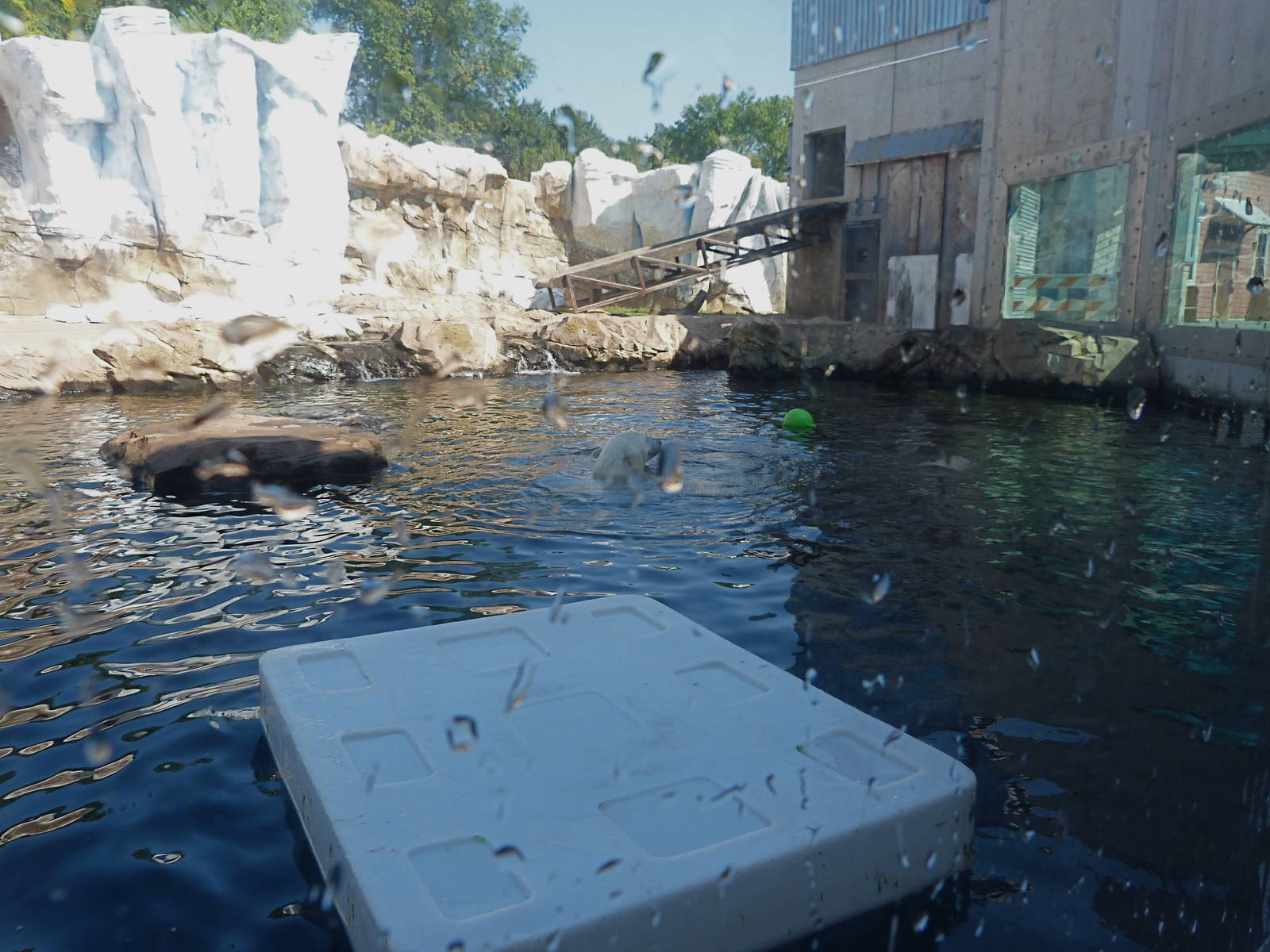 Glacier Run, Sept. 2014