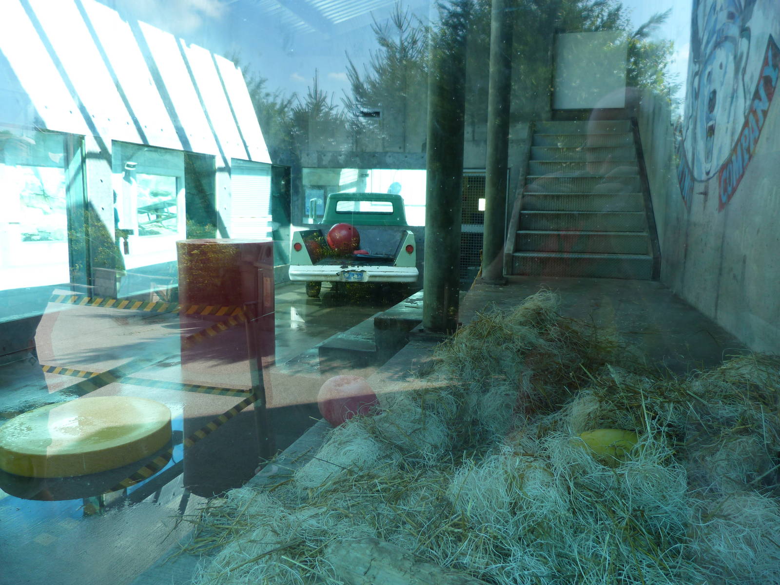 Glacier Run, Sept. 2014