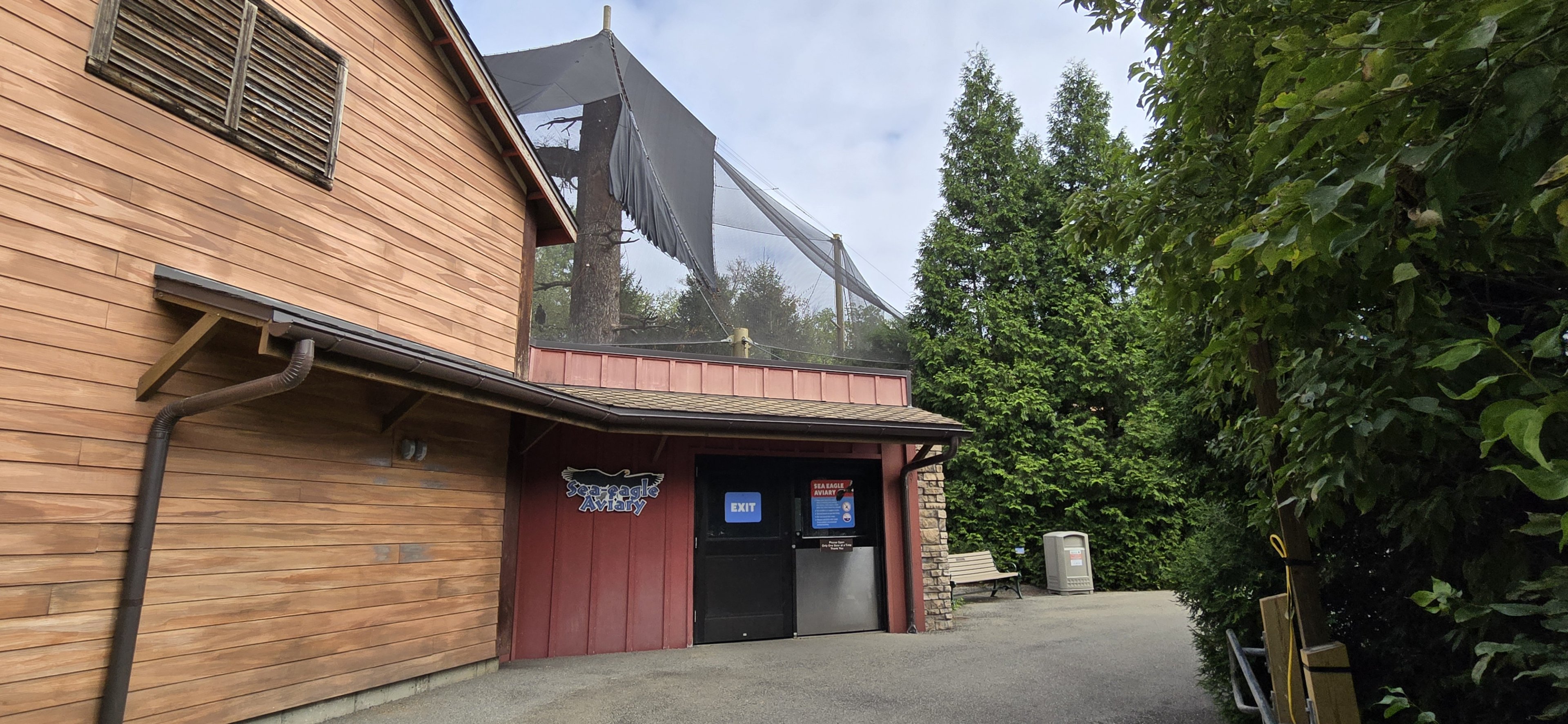Glacier Run - Stellar's Sea Eagle aviary