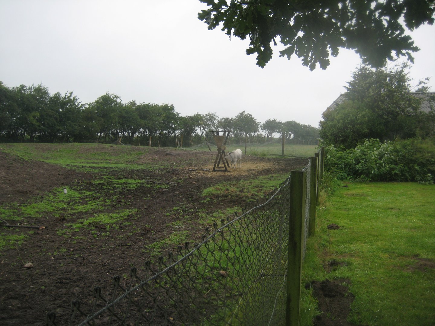 Glad Zoo - Cattle enclosure