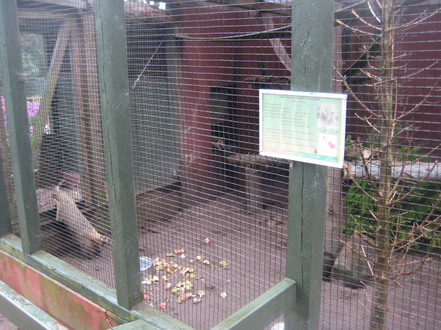 Glad Zoo - Coati exhibit