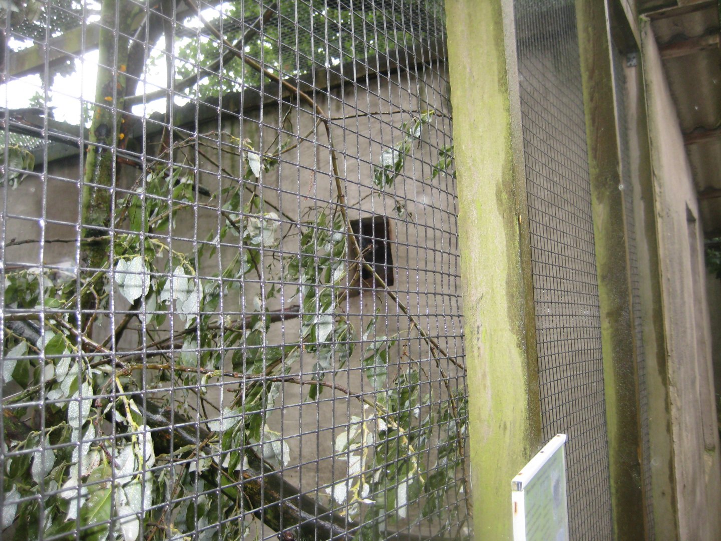 Glad Zoo - Common brown lemur exhibit