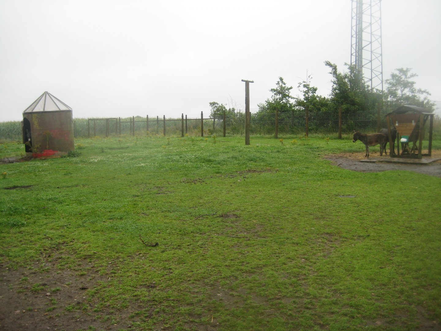 Glad Zoo - Donkey enclosure