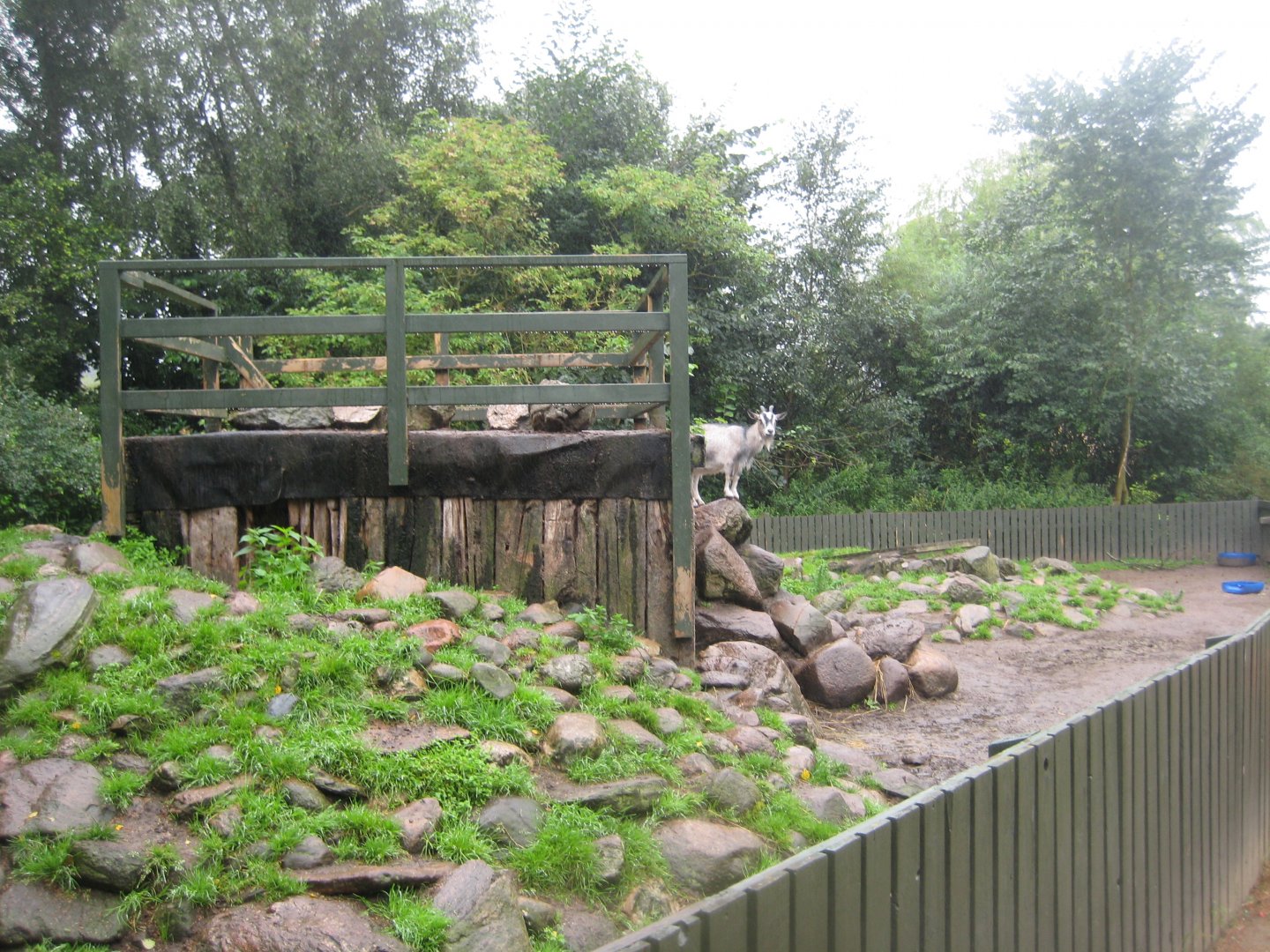 Glad Zoo - Goat enclosure
