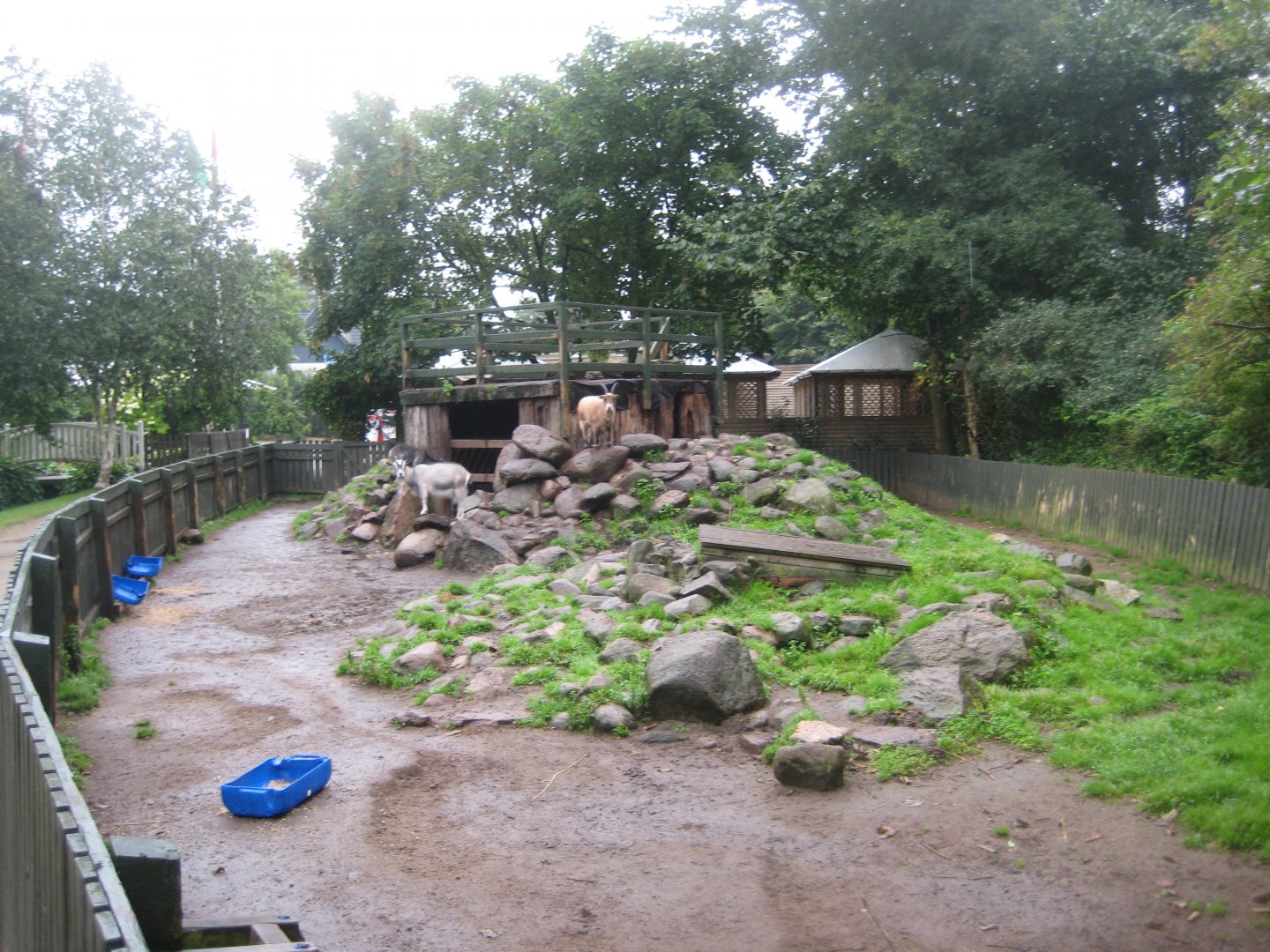 Glad Zoo - Goat enclosure