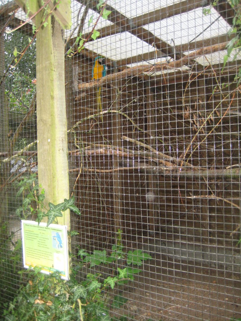 Glad Zoo - Macaw aviary