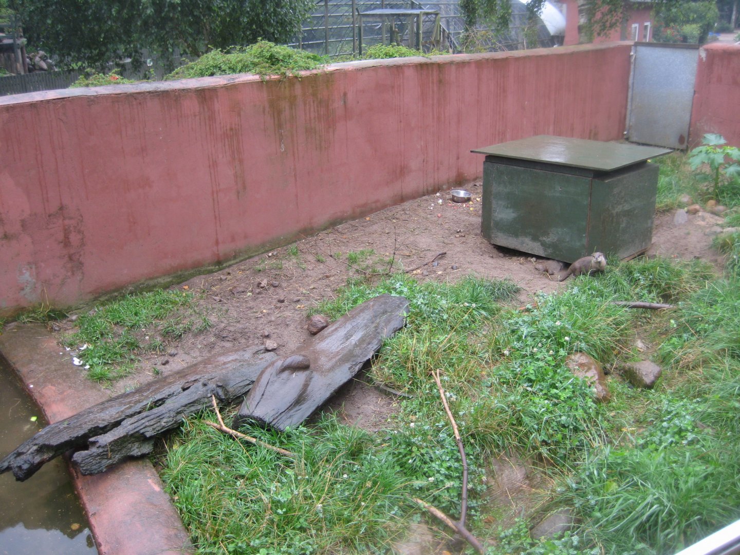 Glad Zoo - Otter exhibit