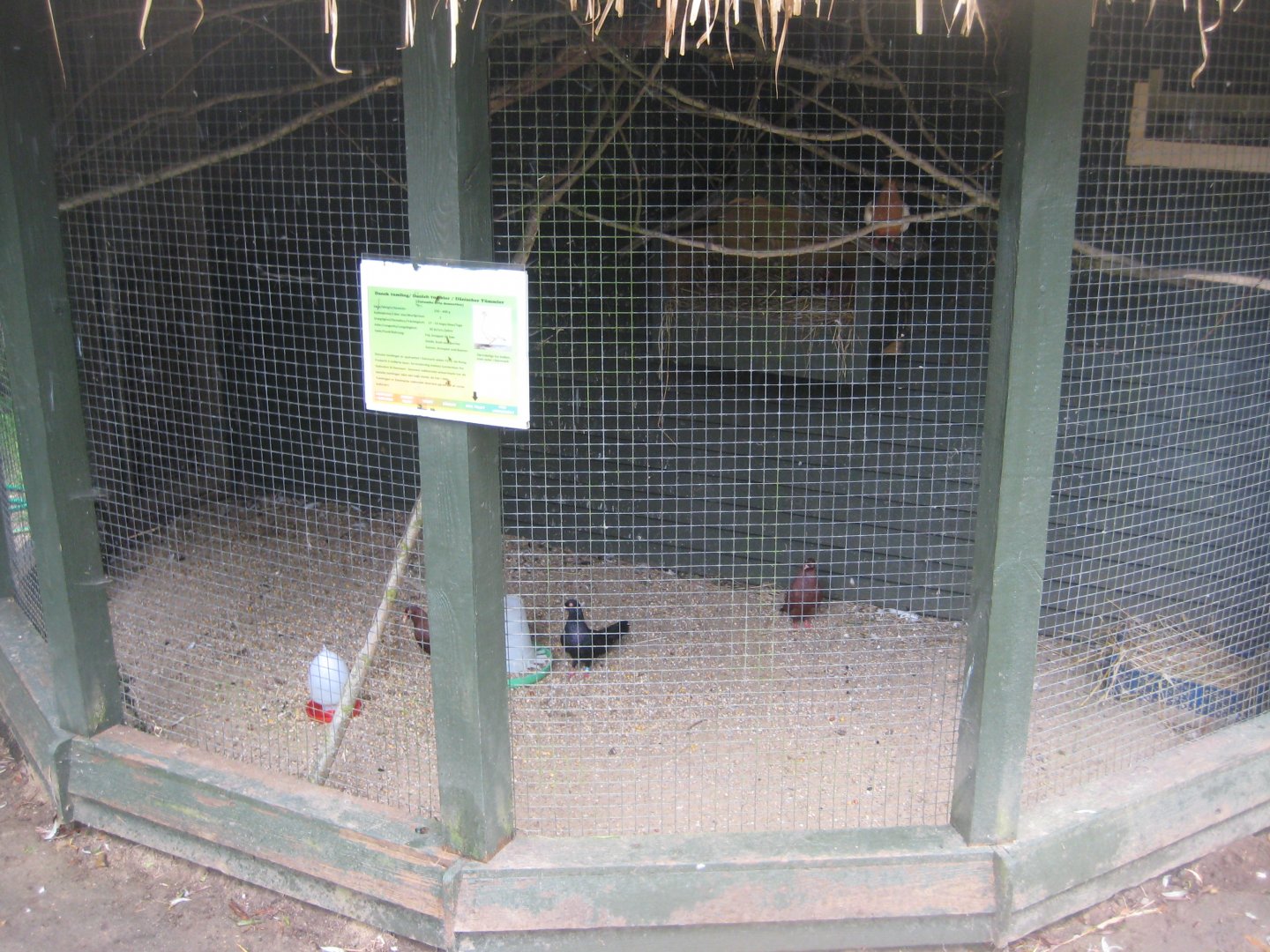 Glad Zoo - Pigeon aviary