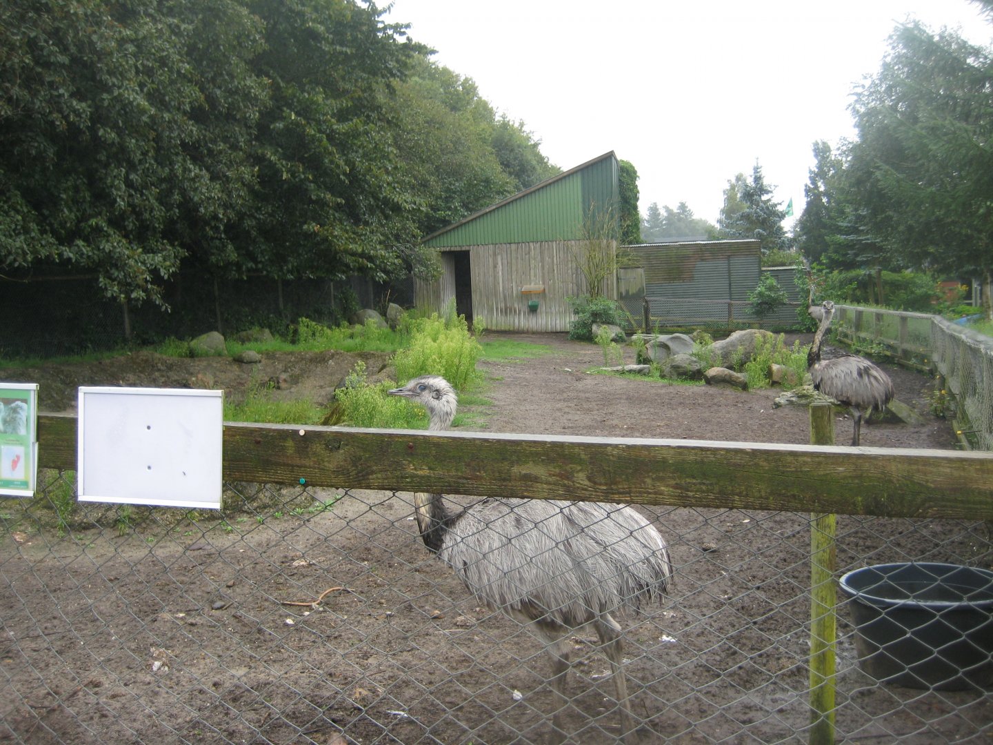 Glad Zoo - Rhea exhibit