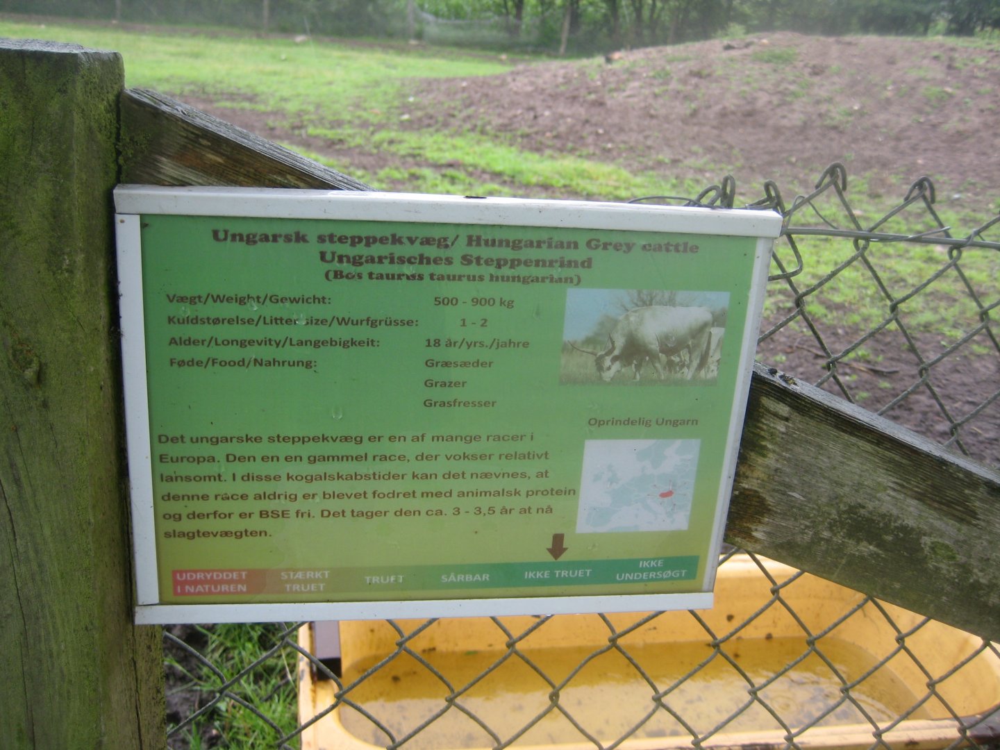 Glad Zoo - Signage example