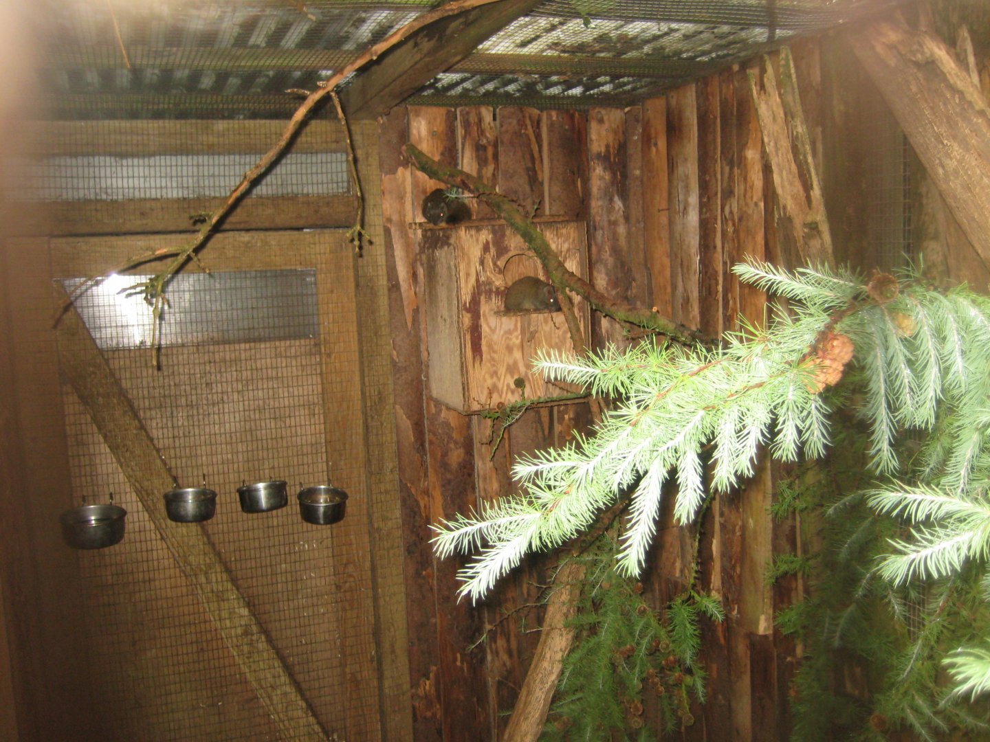 Glad Zoo - Squirrel exhibit