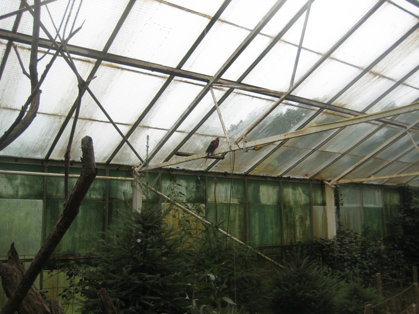 Glad Zoo - Tropical house - Free-flight hall