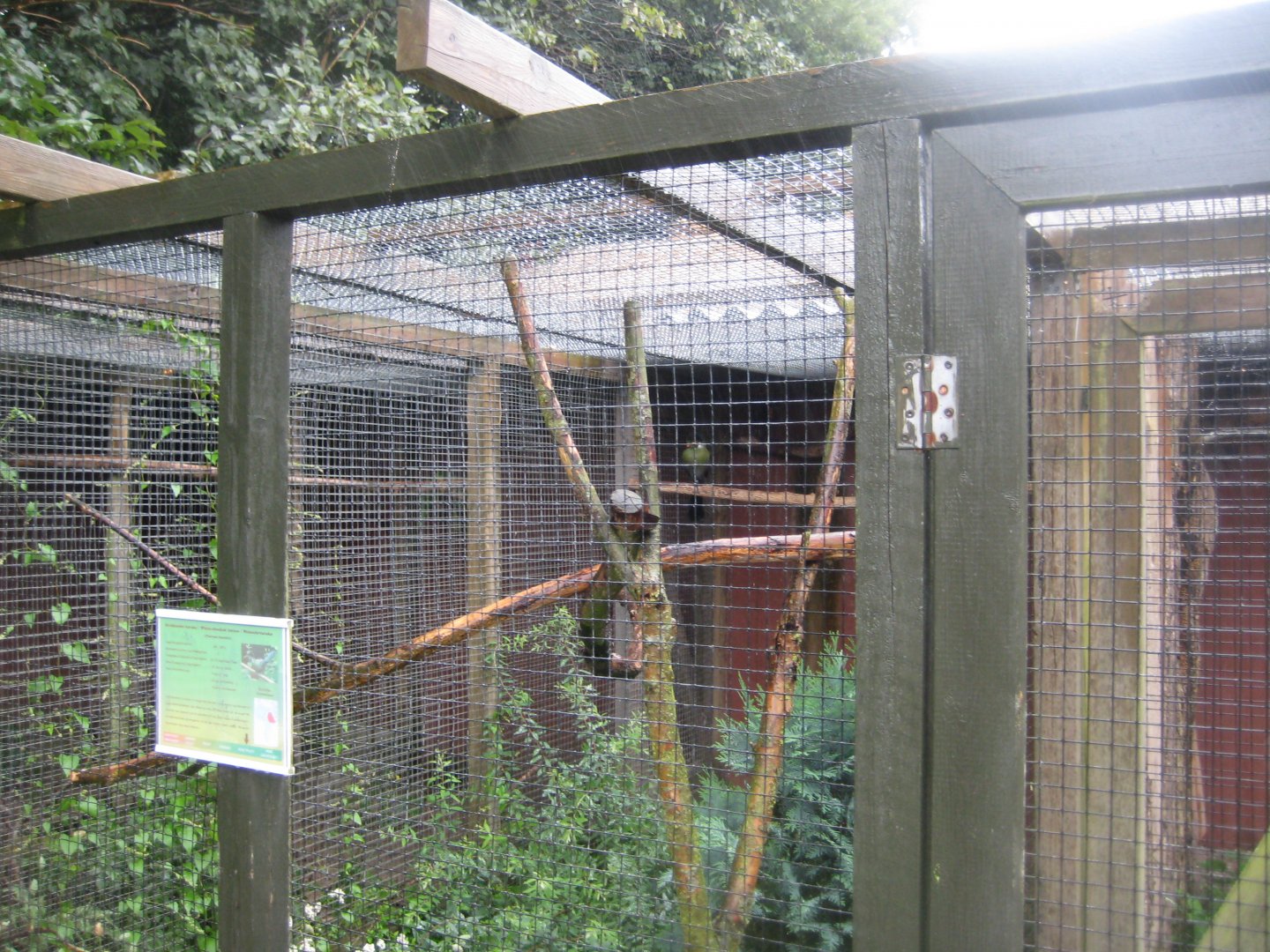 Glad Zoo - Turaco aviary
