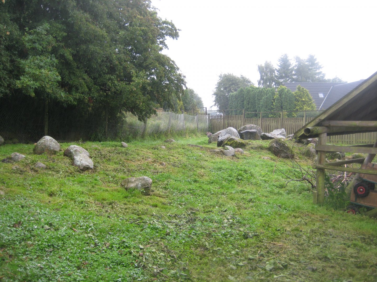 Glad Zoo - Wallaby exhibit