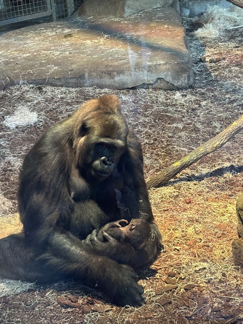 Gladys and Her Newborn Baby