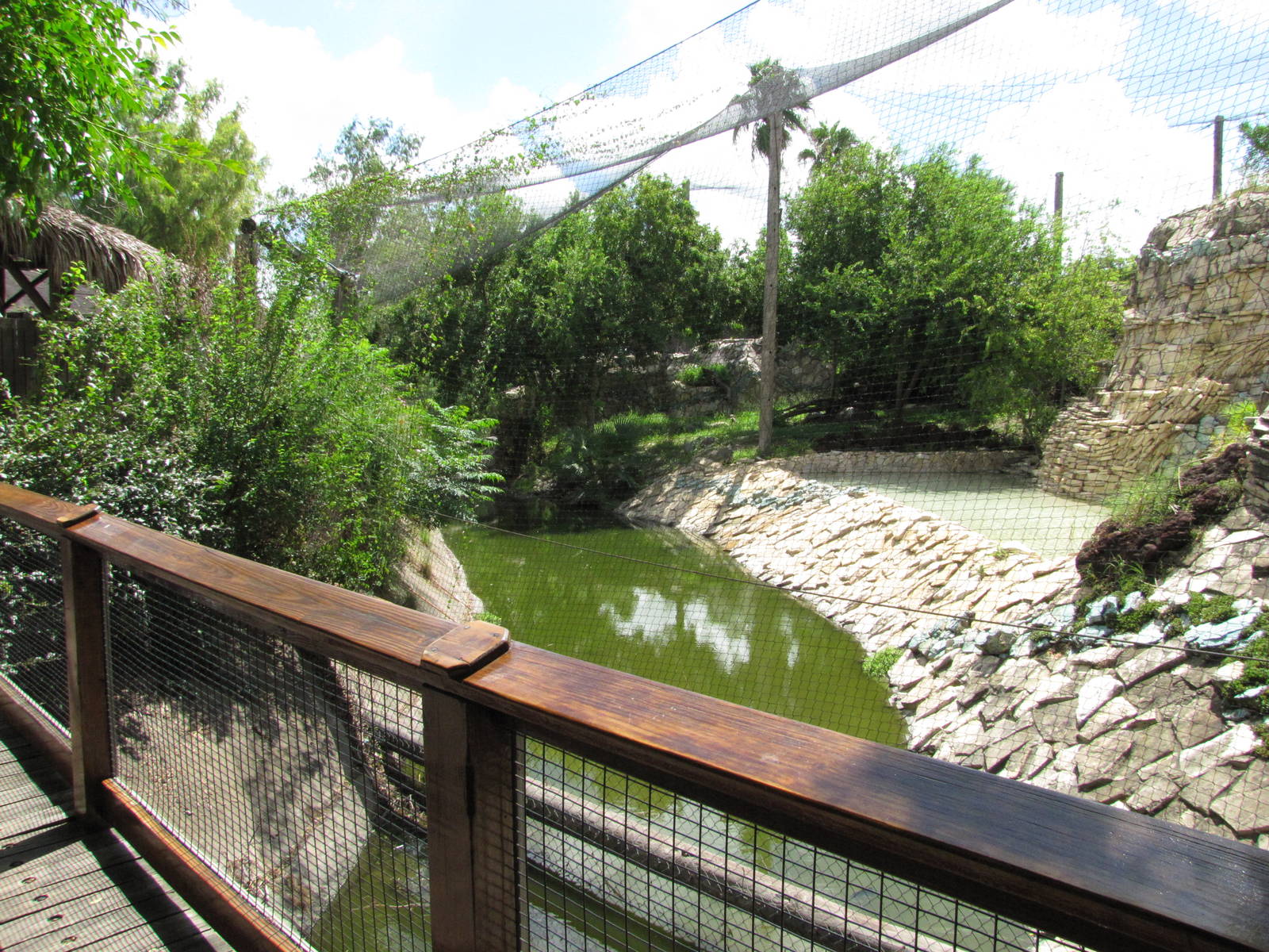 Gladys Porter Zoo 2010 - Aviary in the Tropical America section