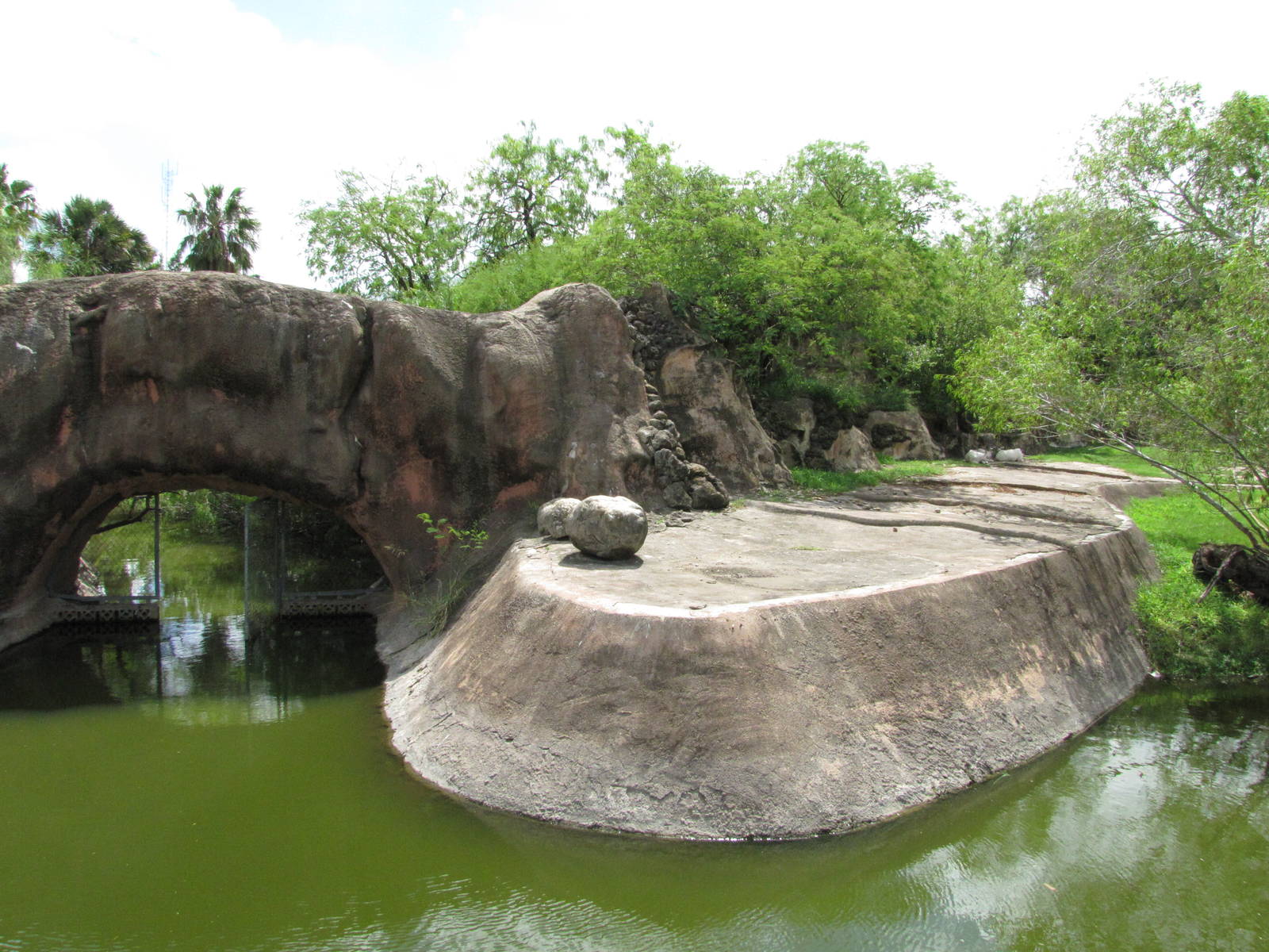Gladys Porter Zoo 2010 - First part of the large Addax exhibit