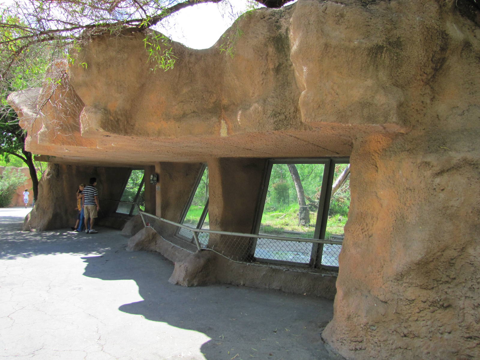 Gladys Porter Zoo 2010 - Front of the African Lion exhibit
