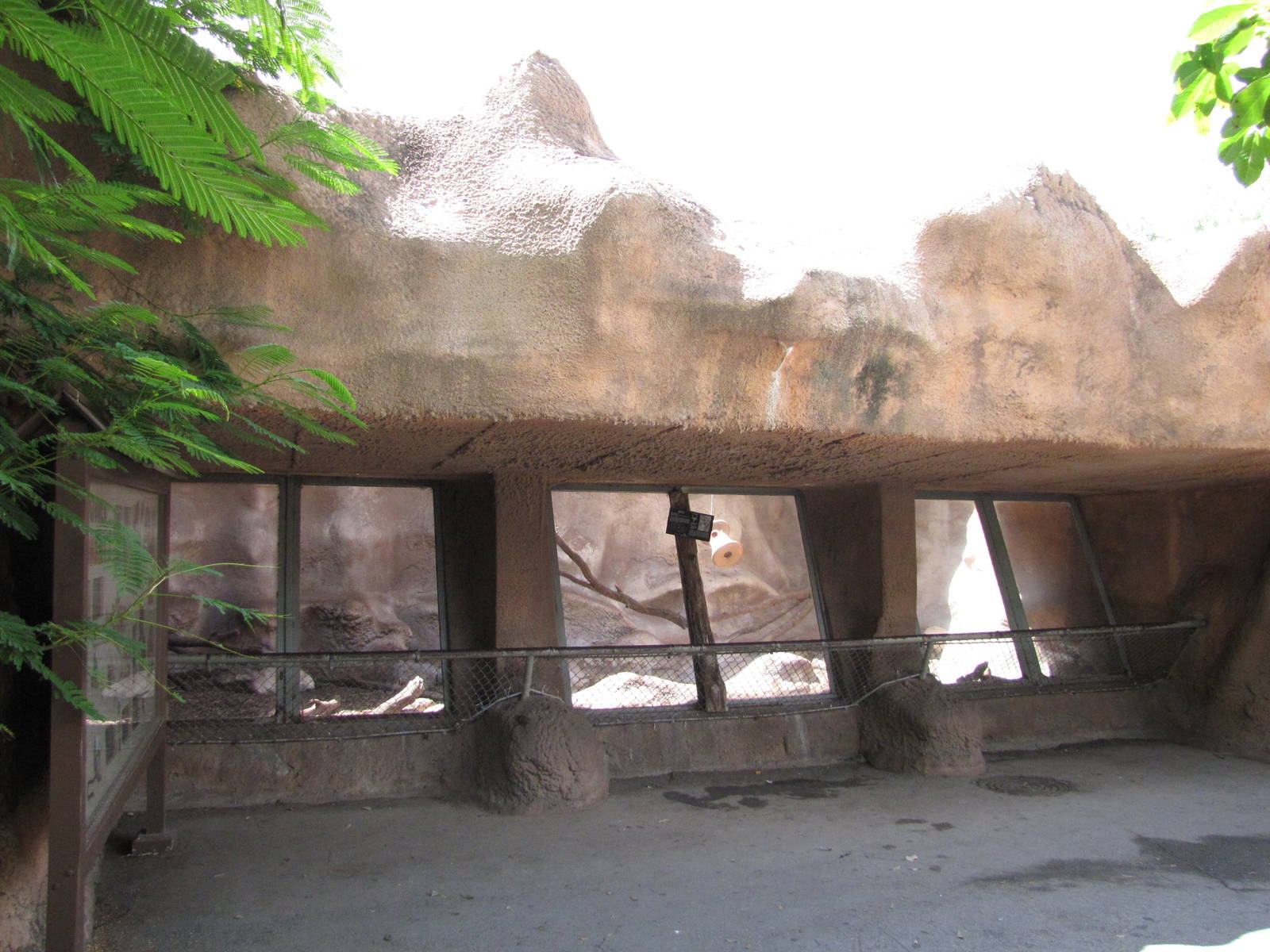 Gladys Porter Zoo 2010 - Front of the Mandril exhibit